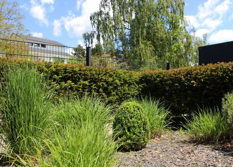 Moderne Gartenanlage in Coburg Reinlein Gartengestaltung