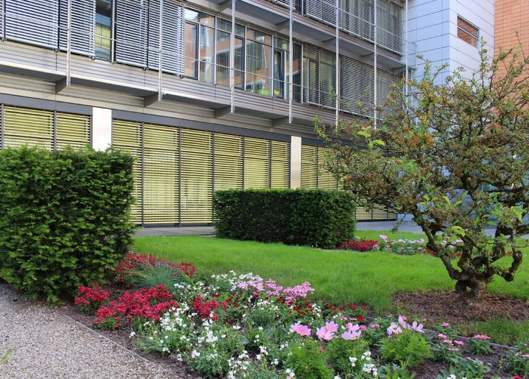 Pflege von FirmenGarten­anlagen in Coburg Reinlein Gartengestaltung