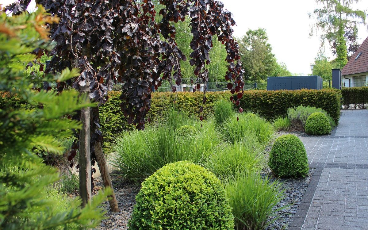 Moderne Gartenanlage in Coburg Reinlein Gartengestaltung