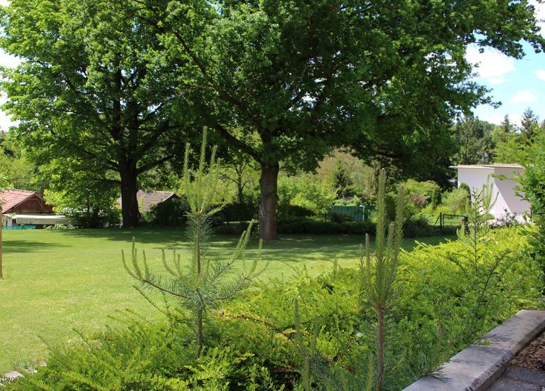 Moderne Gartenanlage in Coburg Reinlein Gartengestaltung